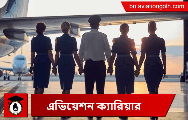 এভিয়েশন ক্যারিয়ার