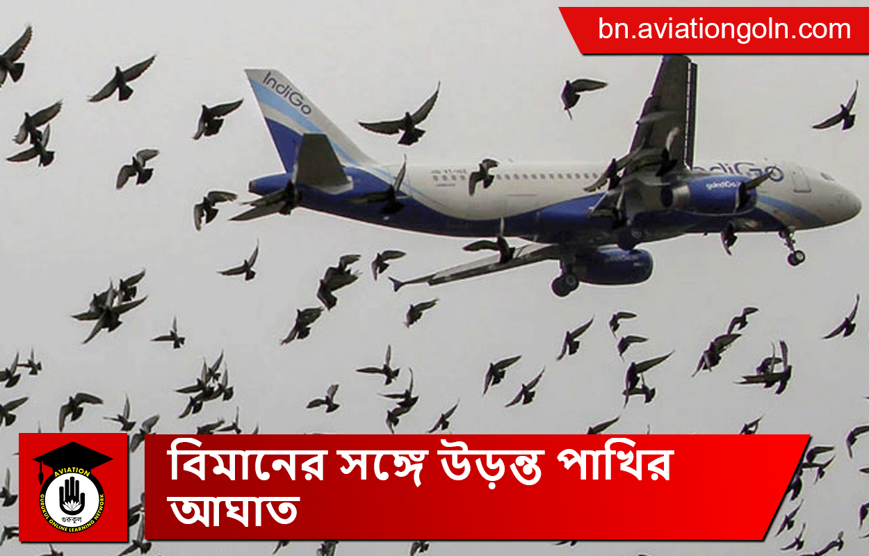 বিমানের সঙ্গে উড়ন্ত পাখির আঘাত