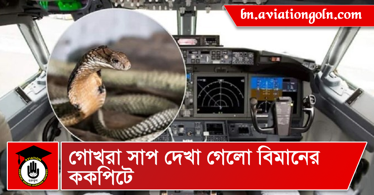 গোখরা সাপ দেখা গেলো বিমানের ককপিটে